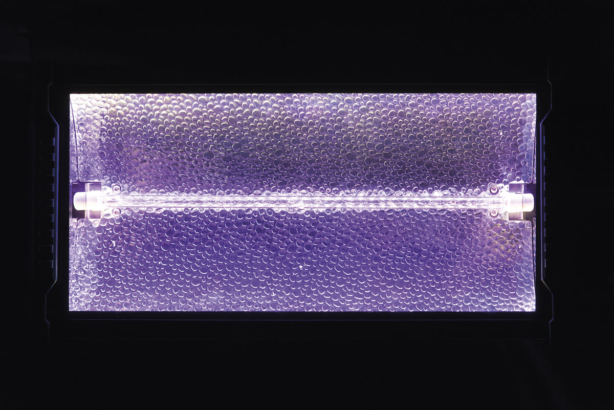 Titan Strobe BLAZE 1 500 W strobe med RGB-bakgrundseffekt