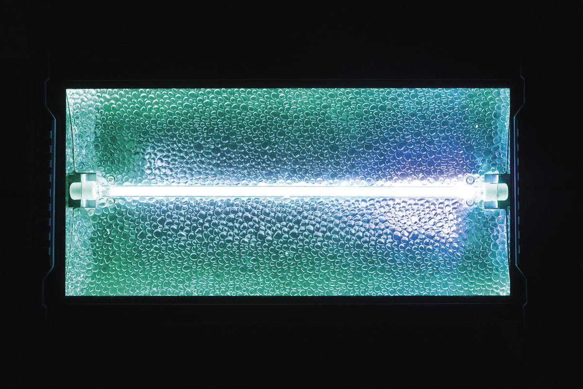 Titan Strobe BLAZE 1 500 W strobe med RGB-bakgrundseffekt