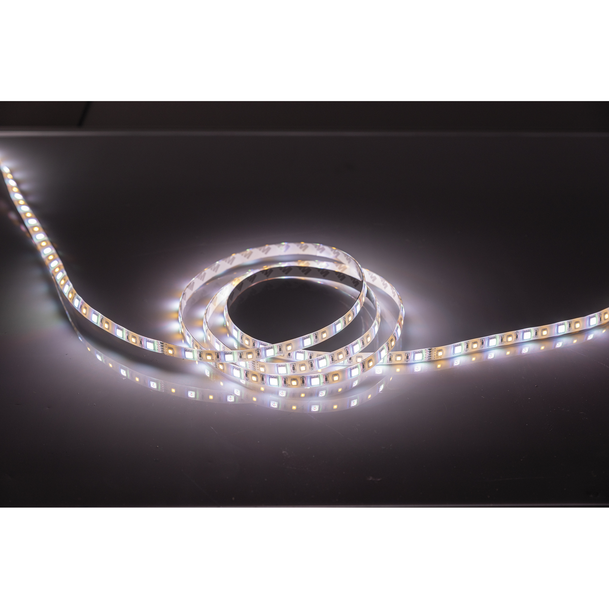 Havana Dropper, LED-slinga RGB + 2400 K, IP62, 5 m, 11,6 W/m