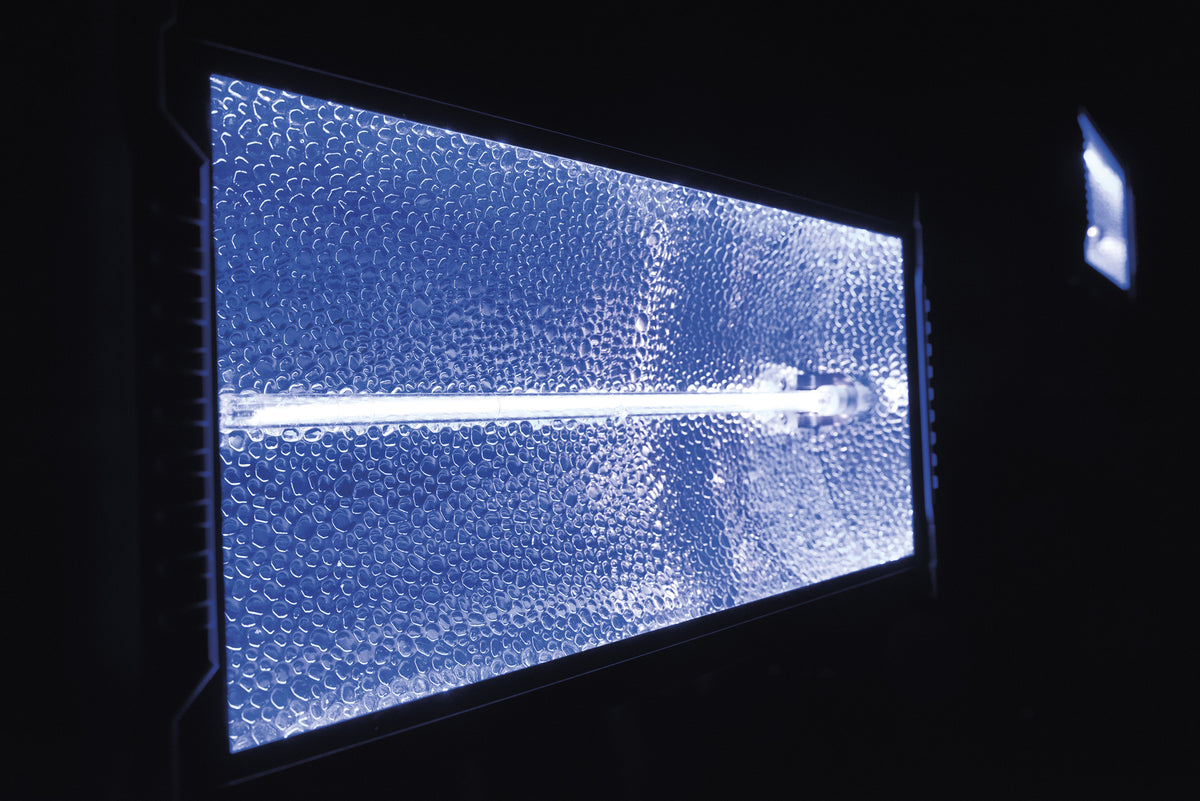 Titan Strobe BLAZE 1 500 W strobe med RGB-bakgrundseffekt