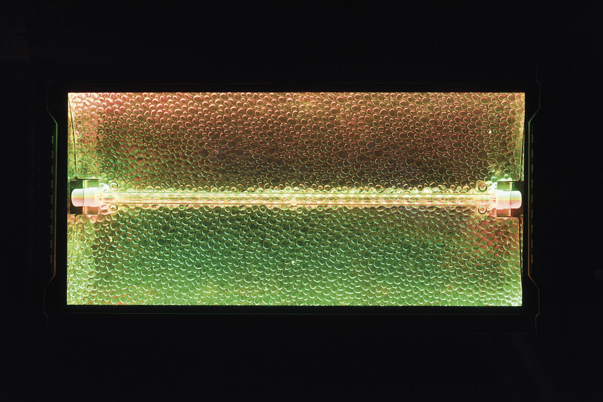 Titan Strobe BLAZE 1 500 W strobe med RGB-bakgrundseffekt