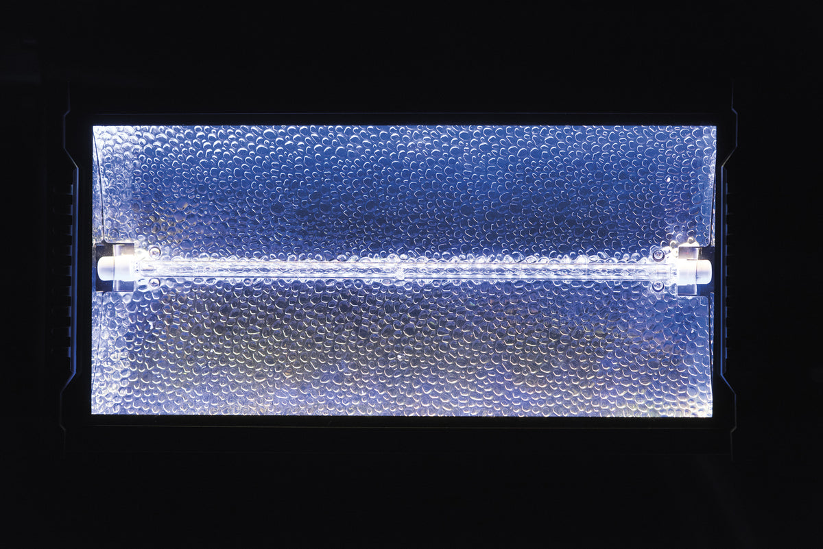 Titan Strobe BLAZE 1 500 W strobe med RGB-bakgrundseffekt