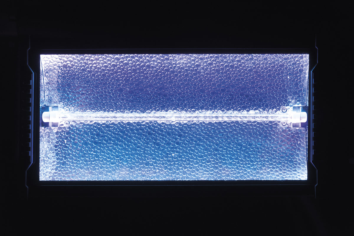 Titan Strobe BLAZE 1 500 W strobe med RGB-bakgrundseffekt