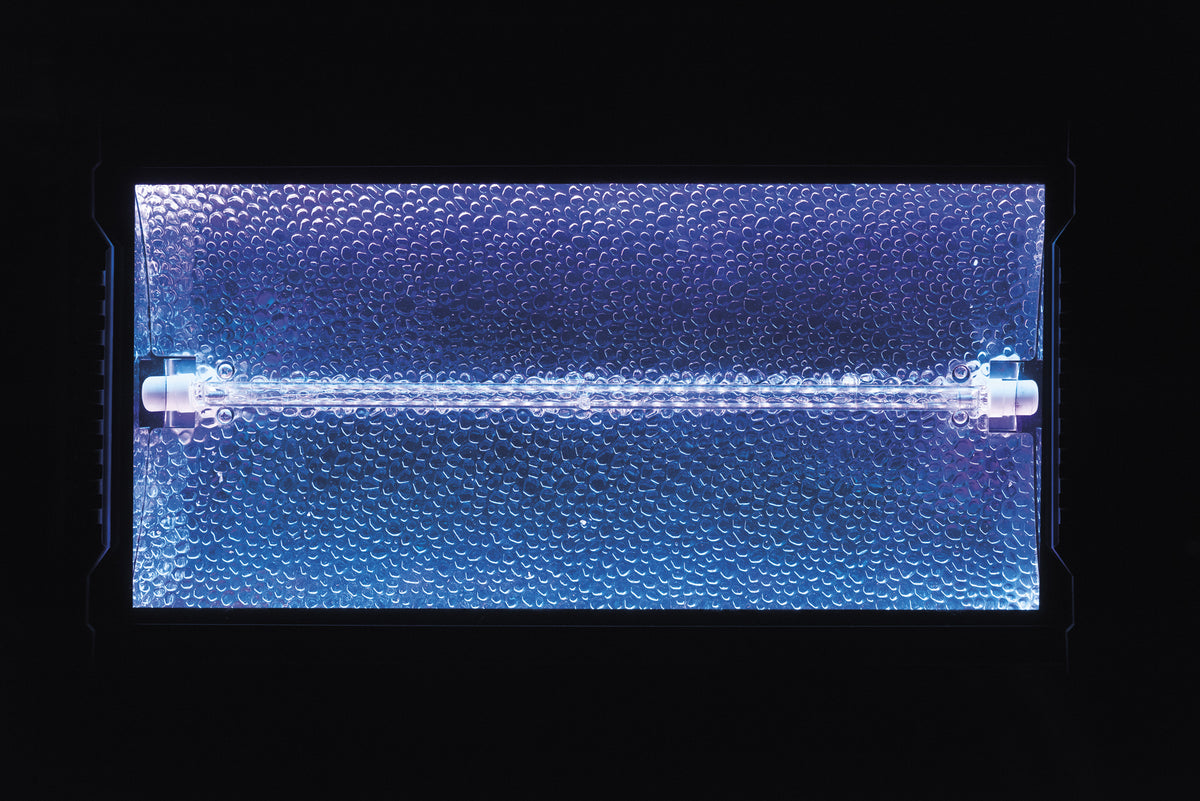 Titan Strobe BLAZE 1 500 W strobe med RGB-bakgrundseffekt