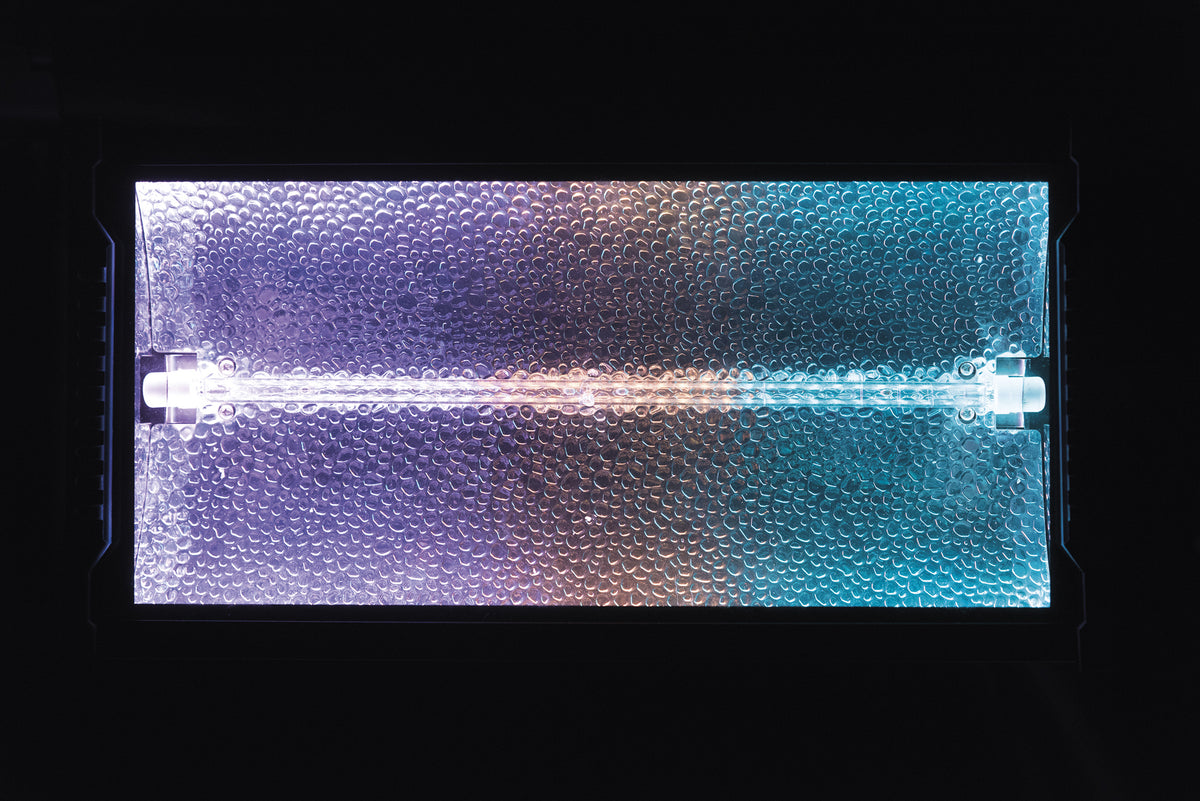 Titan Strobe BLAZE 1 500 W strobe med RGB-bakgrundseffekt
