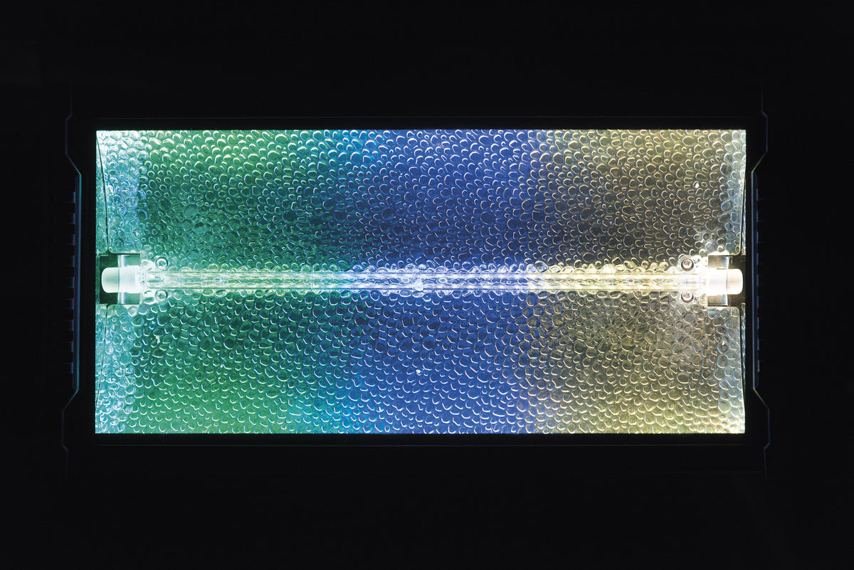 Titan Strobe BLAZE 1 500 W strobe med RGB-bakgrundseffekt
