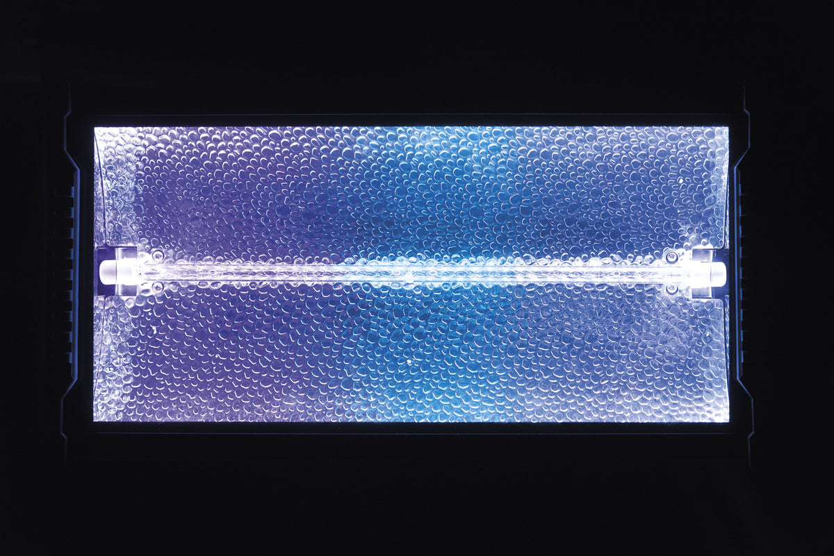 Titan Strobe BLAZE 1 500 W strobe med RGB-bakgrundseffekt