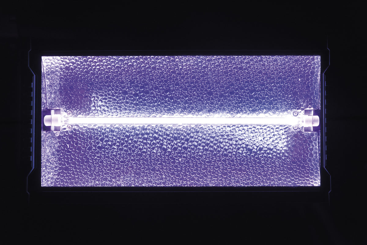 Titan Strobe BLAZE 1 500 W strobe med RGB-bakgrundseffekt