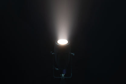 Accent Spot SW, LED-pinspot 25 W
