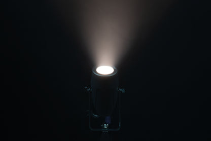 Accent Spot SW, LED-pinspot 25 W