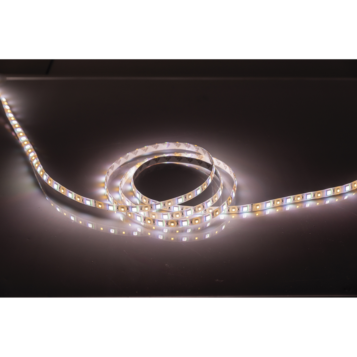 Havana Dropper, LED-slinga RGB + 2400 K, IP62, 5 m, 11,6 W/m