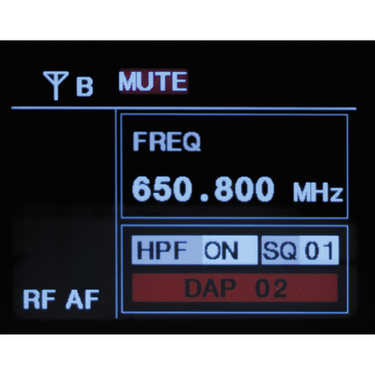 EDGE EBS-2 trådlöst set med två bältessändare, 610–670 MHz