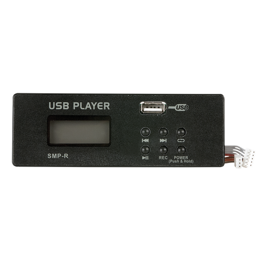 MP3/USB-inspelningsmodul för GIG