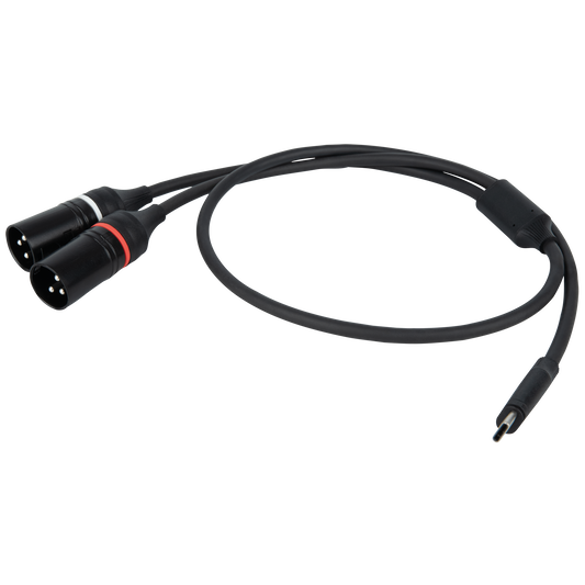 Y-kabel USB-C till 2 × XLR 3-polig hane, 384 kHz/32 bit, 1,5 m