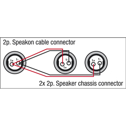 Högtalarkabel 2 × högtalarkontakt hona till speakON hane, 2 × 1,5 mm²